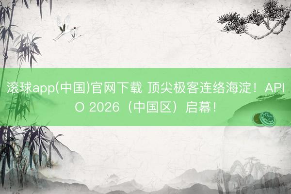滚球app(中国)官网下载 顶尖极客连络海淀！APIO 2026（中国区）启幕！