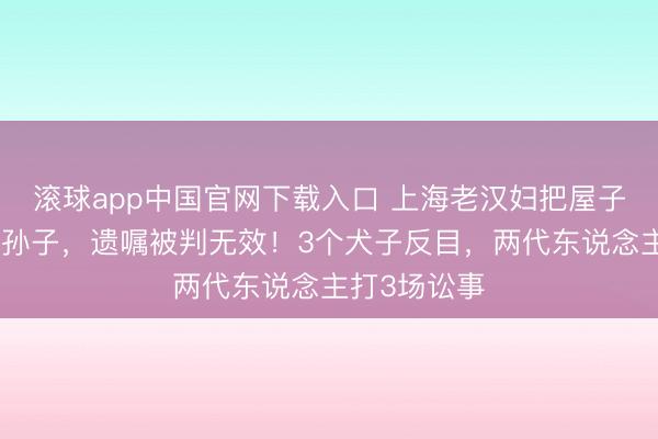 滚球app中国官网下载入口 上海老汉妇把屋子提前过户给孙子，遗嘱被判无效！3个犬子反目，两代东说念主打3场讼事