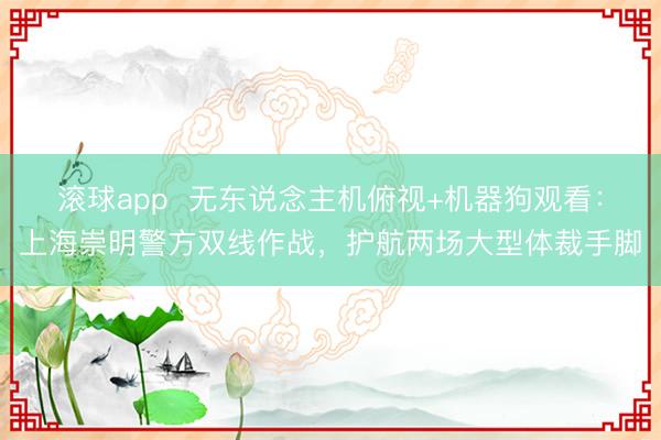 滚球app  无东说念主机俯视+机器狗观看：上海崇明警方双线作战，护航两场大型体裁手脚