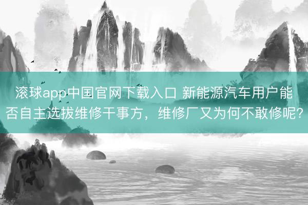 滚球app中国官网下载入口 新能源汽车用户能否自主选拔维修干事方，维修厂又为何不敢修呢?