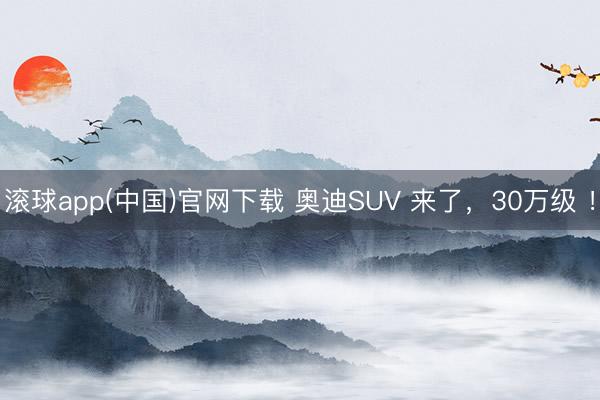 滚球app(中国)官网下载 奥迪SUV 来了，30万级 ！