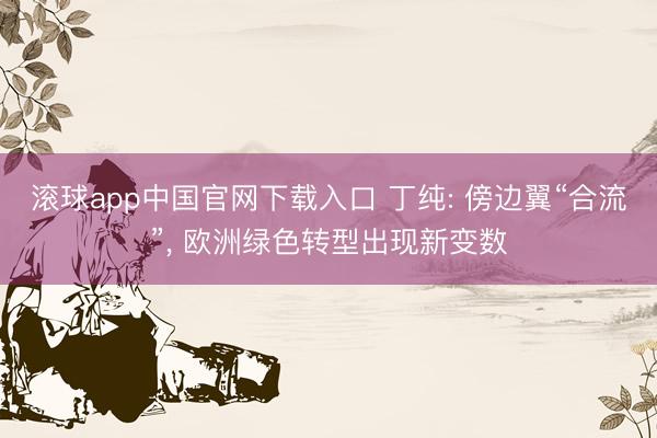 滚球app中国官网下载入口 丁纯: 傍边翼“合流”， 欧洲绿色转型出现新变数