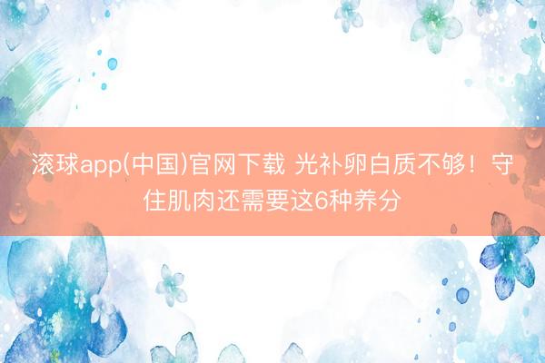 滚球app(中国)官网下载 光补卵白质不够!守住肌肉还需要这6种养分