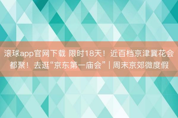 滚球app官网下载 限时18天!近百档京津冀花会都聚!去逛“京东第一庙会” | 周末京郊微度假