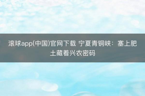 滚球app(中国)官网下载 宁夏青铜峡：塞上肥土藏着兴农密码
