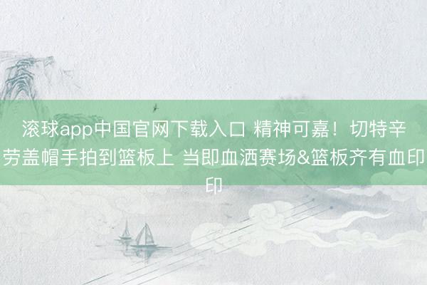 滚球app中国官网下载入口 精神可嘉！切特辛劳盖帽手拍到篮板