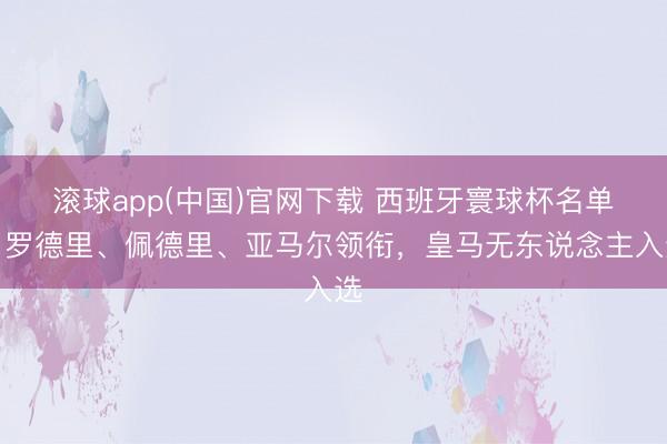 滚球app(中国)官网下载 西班牙寰球杯名单：罗德里、佩德里