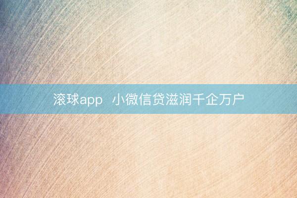 滚球app  小微信贷滋润千企万户