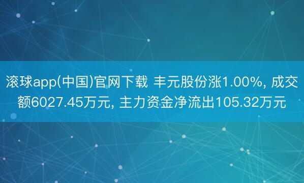 滚球app(中国)官网下载 丰元股份涨1.00%， 成交额6027.45万元， 主力资金净流出105.32万元