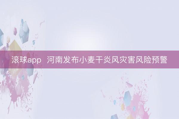 滚球app  河南发布小麦干炎风灾害风险预警