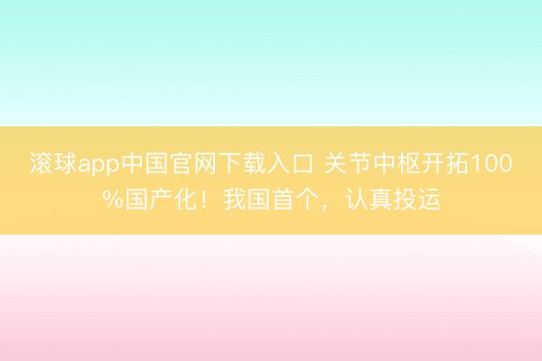 滚球app中国官网下载入口 关节中枢开拓100%国产化！我国首个，认真投运