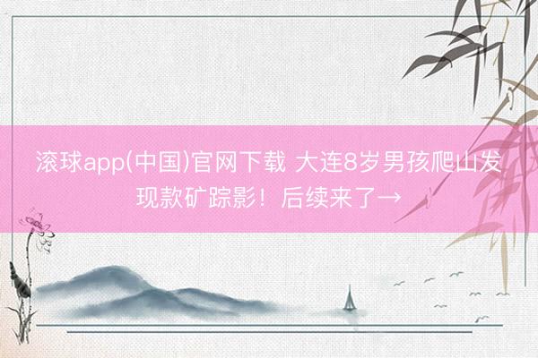 滚球app(中国)官网下载 大连8岁男孩爬山发现款矿踪影！后续来了→