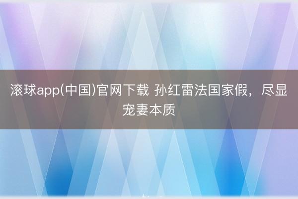 滚球app(中国)官网下载 孙红雷法国家假，尽显宠妻本质