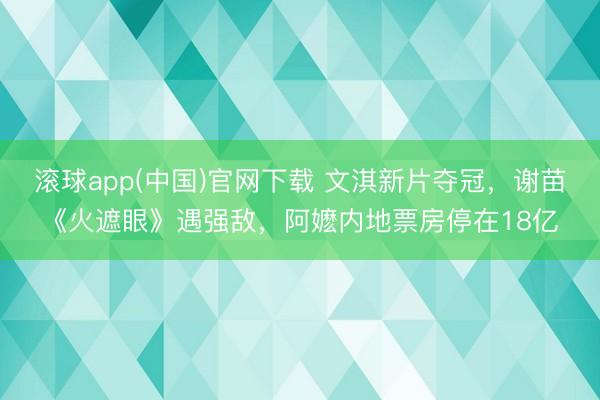 滚球app(中国)官网下载 文淇新片夺冠，谢苗《火遮眼》遇强敌，阿嬷内地票房停在18亿