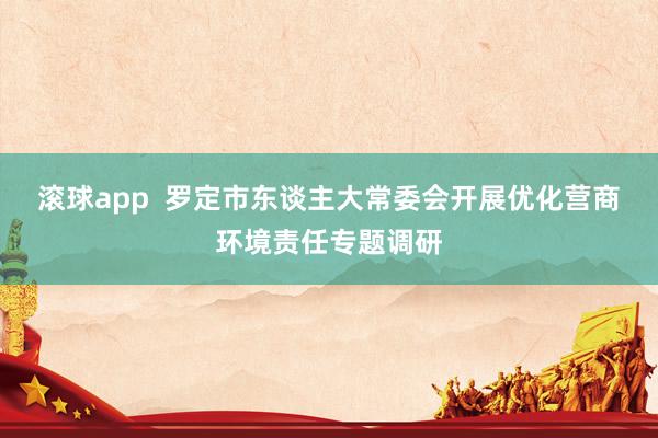 滚球app  罗定市东谈主大常委会开展优化营商环境责任专题调研