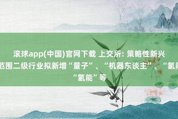 滚球app(中国)官网下载 上交所: 策略性新兴产业范围二级行业拟新增“量子”、“机器东谈主”、“氢能”等