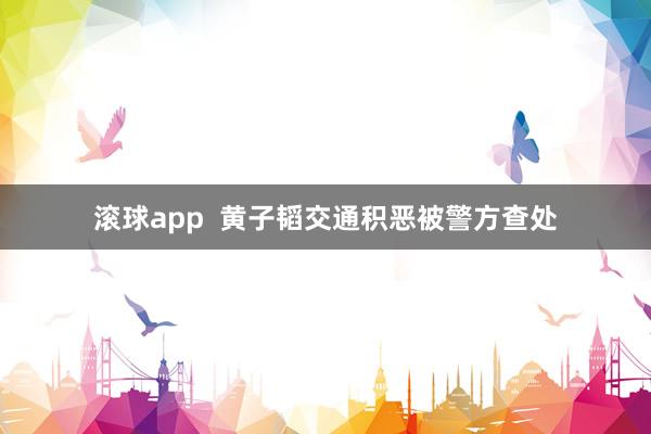 滚球app  黄子韬交通积恶被警方查处