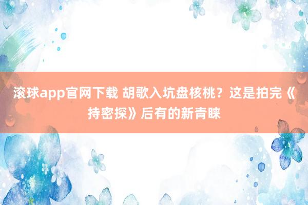 滚球app官网下载 胡歌入坑盘核桃？这是拍完《持密探》后有的新青睐